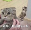 猫咪 可爱 别的小朋友 都有人抱