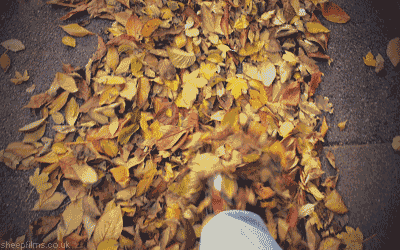 秋天 季节 散步 落叶