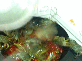 螃蟹 烹饪 爬出来 炒菜