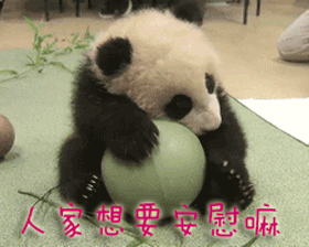熊猫 伤心 人家想要安慰嘛 想要