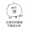 金馆长 傲娇 老子 最美