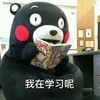 我在学习呢 熊本熊 可爱 搞笑