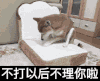 狗狗 调皮 可爱 萌宠 不打以后不理你啦