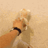 玩偶 变身 狗狗 可爱