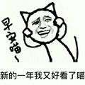 金馆长 猫咪 早安喵新的一 年我又好看了 喵