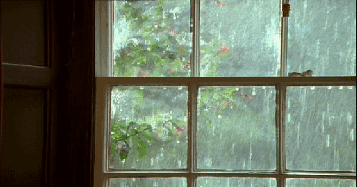 下雨 窗外 夏天 树木