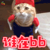 猫 喵星人 萌宠 谁在bb soogif soogif出品