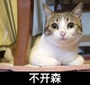 不开森 猫咪 搞笑 可爱