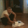 帅哥 猫 挑逗 搞笑