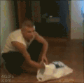 帅哥 猫 挑逗 搞笑