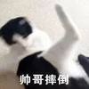 萌宠 猫星人 帅哥摔倒 无奈 呆萌 可爱