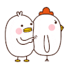 小鸡 可爱 萌宠 萌萌哒