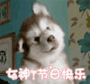 母亲节 母亲节快乐