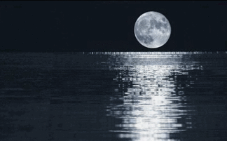 月亮 夜晚 水面 黑色