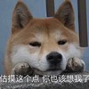 萌宠 猫星人 估摸这个点 你也该想我了 呆萌 可爱