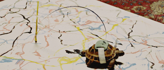 基本演绎法 地图 乌龟 龟速前进