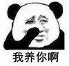 斗图 熊猫头 我养你啊 坏笑 搞怪