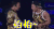 怕怕 太阳 东永裴 GD 权志龙