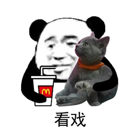 金馆长 灰色猫咪 看戏 熊猫