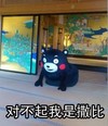 对不起 我是撒比 熊本熊 红脸蛋 下跪