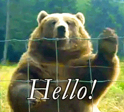 熊 hello 你好