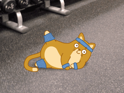猫咪 抬腿 锻炼 蓝色