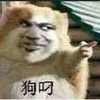 狗叼 金馆长 搞笑 装逼