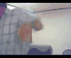 星际争霸 二蛋 二货  逗逼