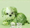 萌宠 汪星人 菜狗 无奈 呆萌 可爱