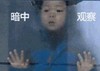 玻璃后面偷看：暗中观察,
苦逼  恶搞  偷窥