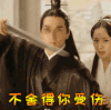赵又廷 三生三世十里桃花不舍得你受伤 soogif soogif出品