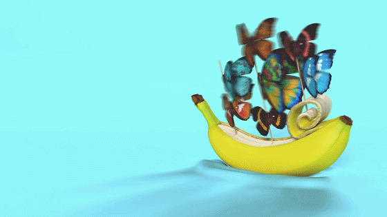 香蕉 艺术 蝴蝶 剥皮的相机 滑动的香蕉船