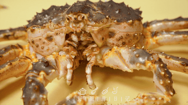 螃蟹 动物微表情 拍摄 鲜活