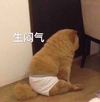 萌星人 可爱 搞笑 生闷气