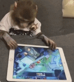 小猴子 玩游戏 智商真高 厉害了