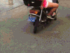 逗比 搞笑 笑喷 笑死人