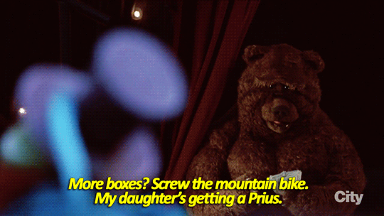 可爱  毛茸茸   搞怪  熊熊