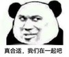 暴漫 熊猫头 真合适 我们在一起吧 搞怪 逗