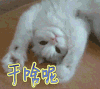 干什么呢