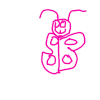 蝴蝶 butterfly animal 二维