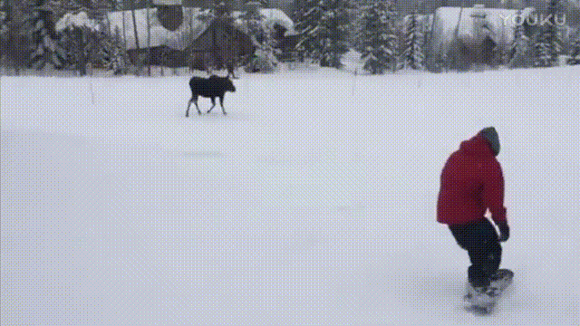 滑雪板 红衣服 房子 雪地