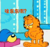 加菲猫的幸福生活 啥东东咧 问号 懵