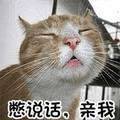 别说话 亲我 猫