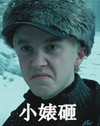 哈利波特 生气 鄙视 小婊砸