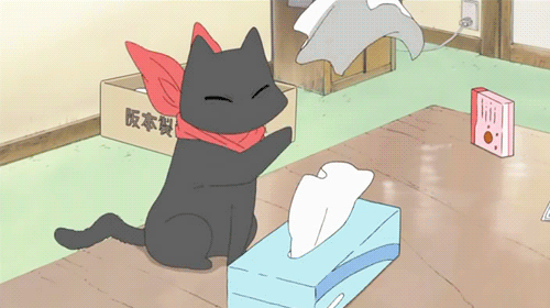 猫咪 卡通 纸抽 黑色 可爱