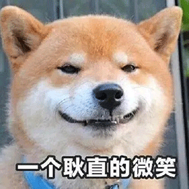 萌宠gif柴犬gif狗gif耿直gif微笑gif笑gif