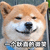 萌宠 柴犬 狗 耿直 微笑 笑