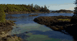 加拿大不列颠哥伦比亚省风光 旅游 森林 湖泊 纪录片 风景