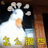 萌宠 鸭 蒙圈 怎么肥四 怎么回事 soogif soogif出品