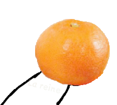 橘子 搞笑 斗图 滑稽